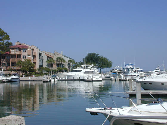bigandsmallhiltonhead.jpg